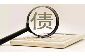 商城为什么选择专业追讨公司来处理您的债务纠纷？